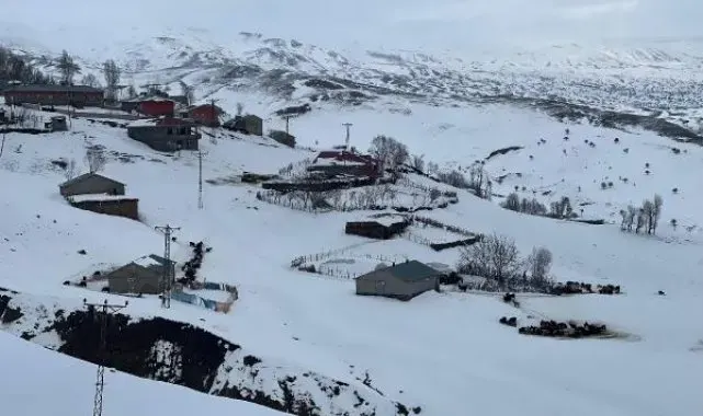 1800 rakımdaki köyde ev ve ahırlar kara gömüldü