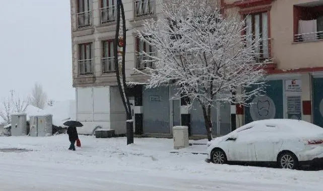 Karlıova'da 10 köy yolu kardan kapandı