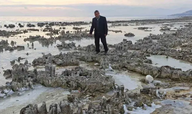 Kuraklık Van Gölü sahilini mikrobiyalit tarlasına dönüştürdü