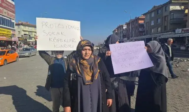 Ankara'da 5 kişilik 'sokak köpekleri toplansın' eylemi