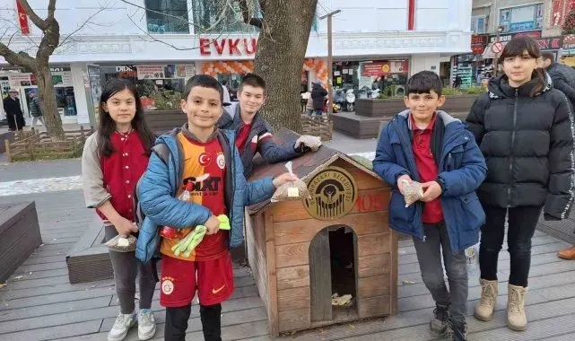 "Merhamet" konusu işleyen öğrenciler sokak hayvanlarıyla ilgilendi