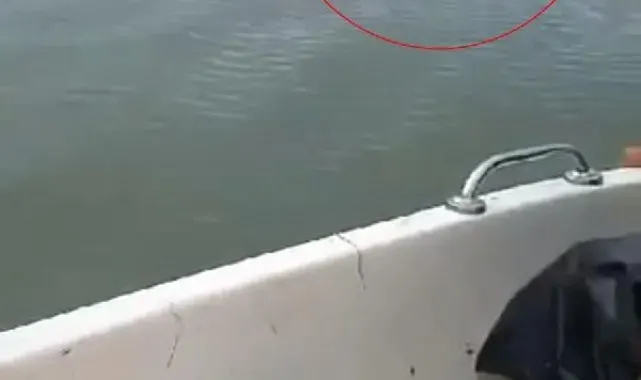Elazığ'da baraj gölünü yüzerek geçen bozayı kamerada