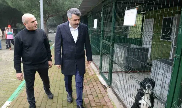 Yıldırım'da can dostlara şefkat eli