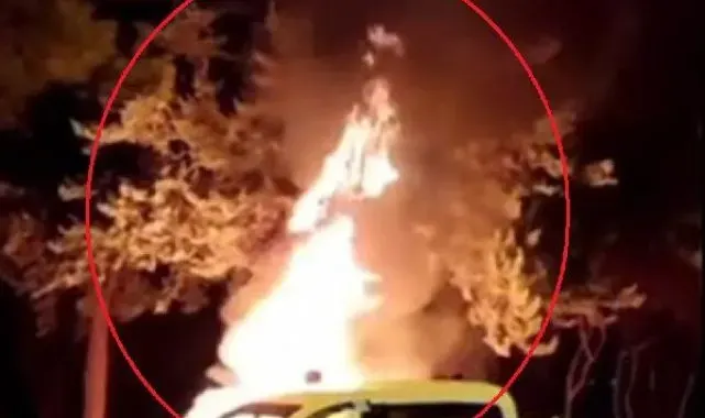 Eski koltuk ateşe verildi, alevler parktaki ağaca sıçradı