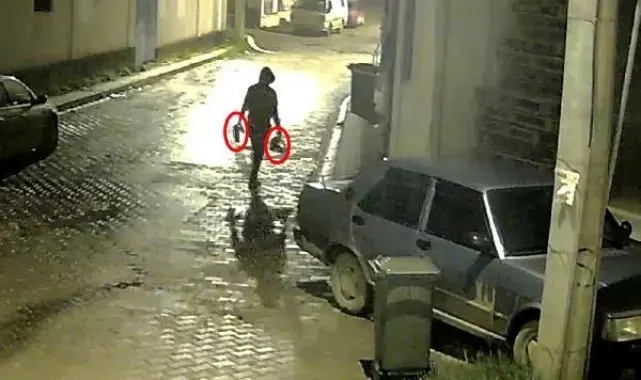 Park halindeki otomobilden hırsızlık yapan 2 şüpheli tutuklandı