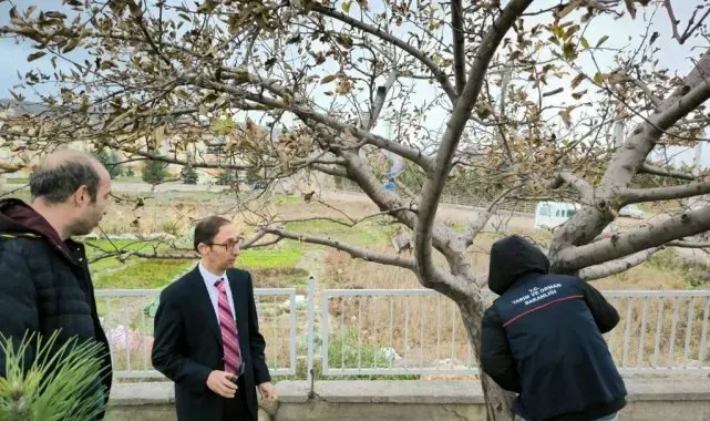 Emet'te Okul Müdürü meyve ağaçlarının bakımı konusunda bilgilendirildi