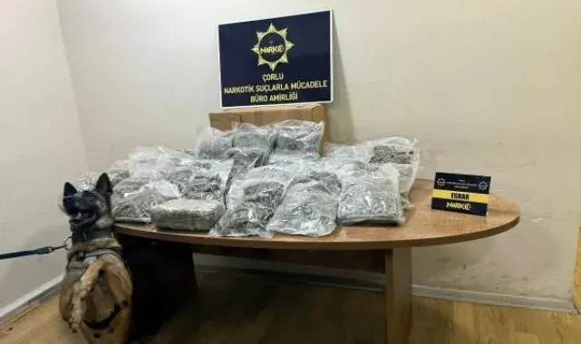 Manavda, sebze ve meyve kasalarının altına gizlenen 15 kilo esrarı 'Larissa' buldu