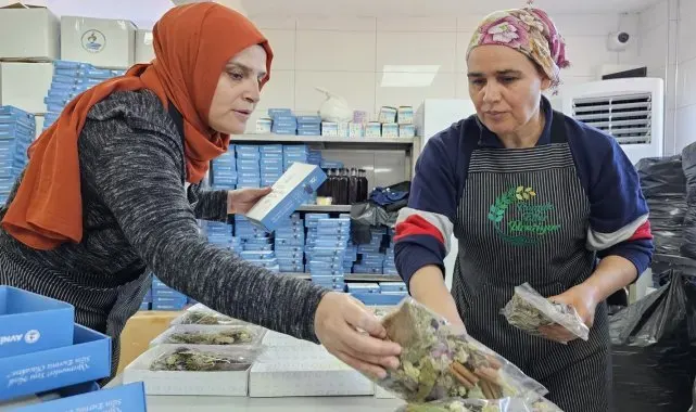 Pamukkale'de kadınların el emekleri kooperatif çatısında buluştu