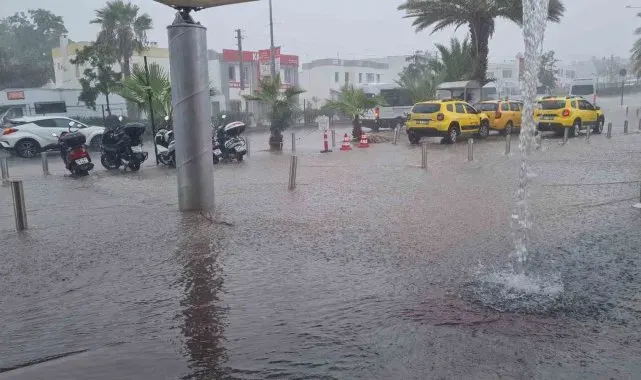 Bodrum'da Kasım bereketi