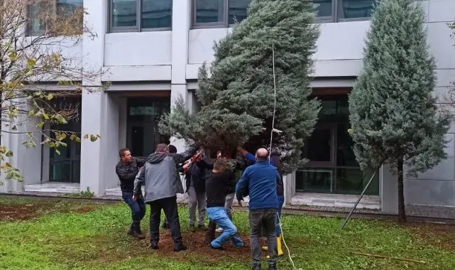 ZBEÜ'de Fırtınada Zarar Gören 68 Ağaca Destek Yapıldı