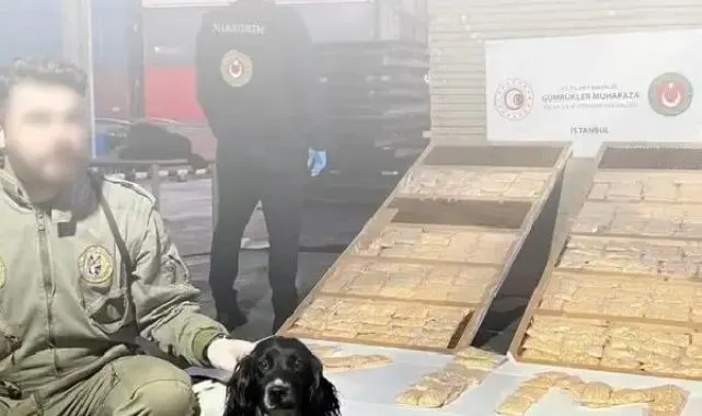 Ambarlı Limanı ve Gürbulak Gümrük Kapısında uyuşturucu operasyonu