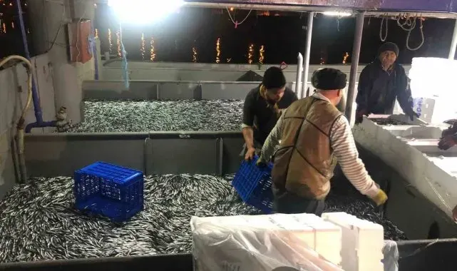 Fırtınanın ardından tezgahlar hamsiyle coştu