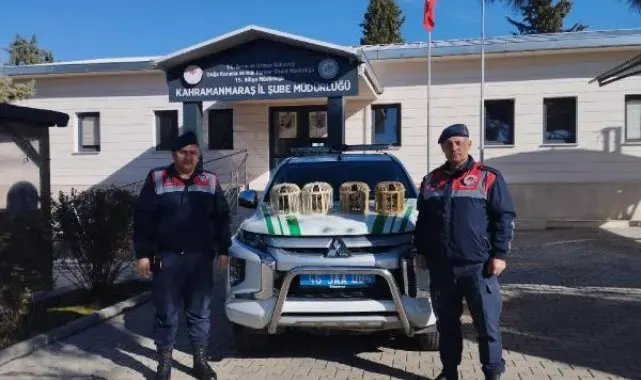 Konteyner kentte keklik beslemeye 26 bin lira ceza