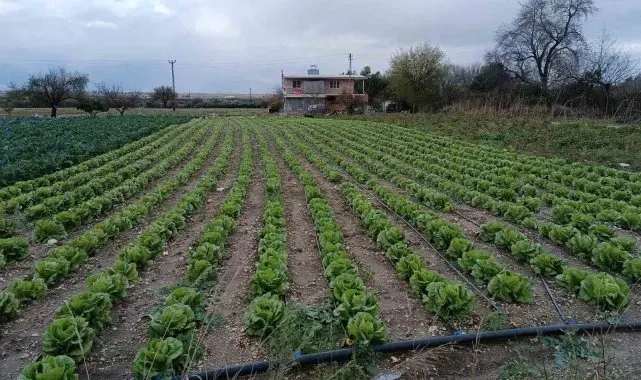 Yağış ve doludan etkilenen tarım arazilerinde kontroller başladı