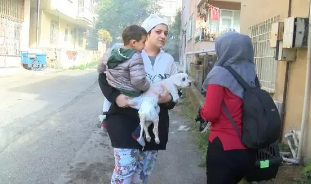 Kadıköy'de 5 katlı binadaki yangında kundaklama iddiası