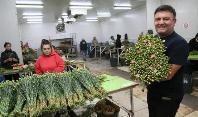 Antalya'dan Avrupa'ya 20 milyon dolarlık Noel çiçeği