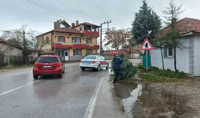 Yola devrilen ağacı jandarma ekipleri kaldırdı