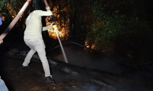 Trabzon'da orman yangını; 3 itfaiye eri dumandan etkilendi