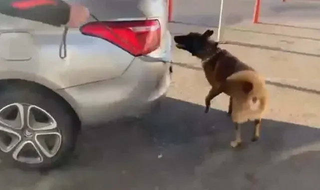 Otomobilde uyuşturucu ele geçirildi; 1 tutuklama