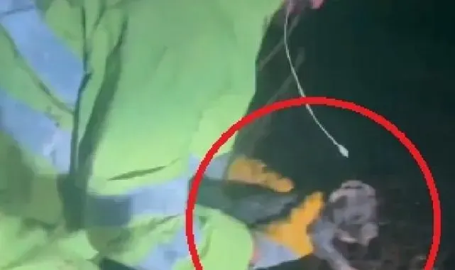 Sulama kanalına düşen köpek ile 4 yavrusu kurtarıldı