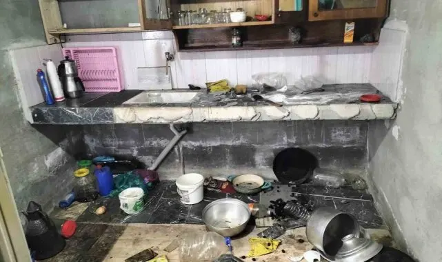 Giresun'da aç kalan ayılar yayla evlerine girdi