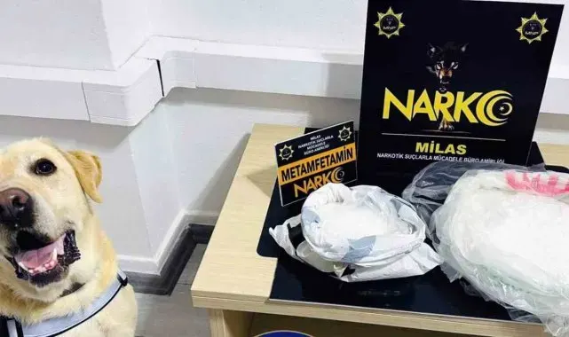 Narkotik köpeği 'Çiko' affetmiyor
