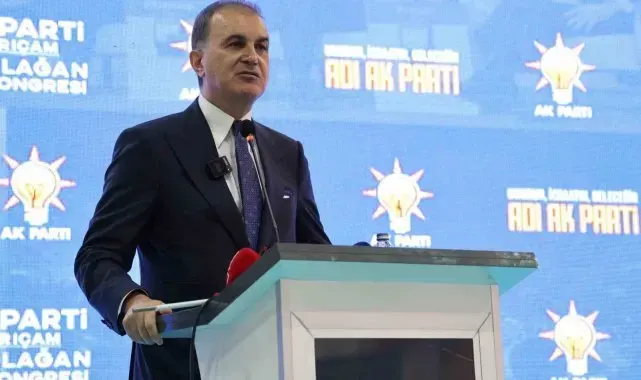 Ömer Çelik'ten 'Yenidoğan çetesi' açıklaması