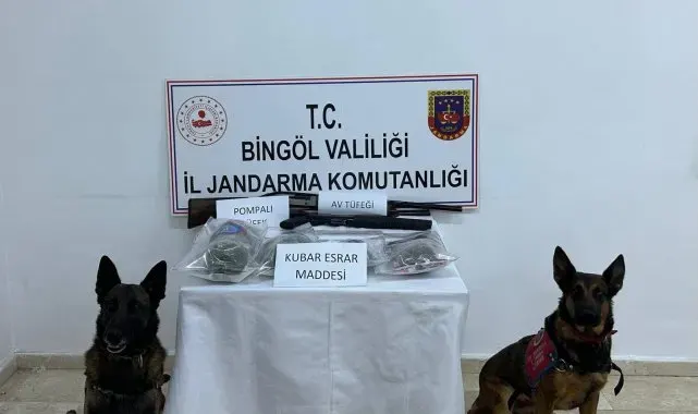 Bingöl'de 7 şüpheli gözaltına alındı