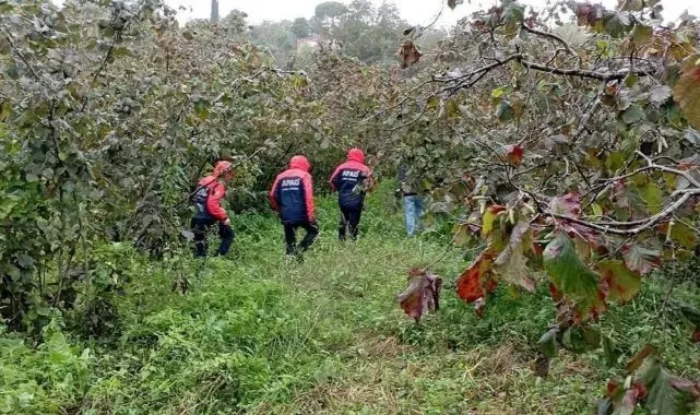 Ordu'da ağaçtan düşen yaşlı adam hayatını kaybetti