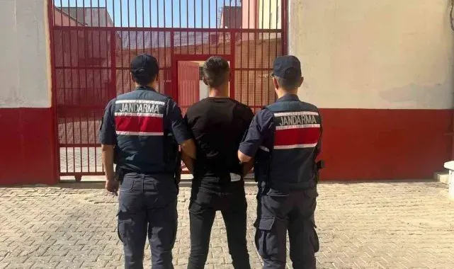 Kümeslere dadandı, jandarma enseledi