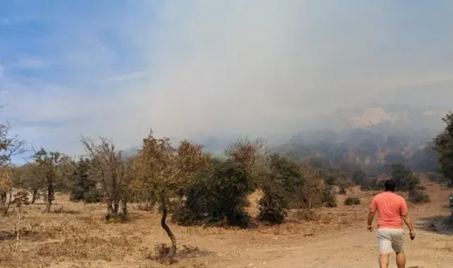 Bodrum'da ağaçlık alanda yangın çıktı