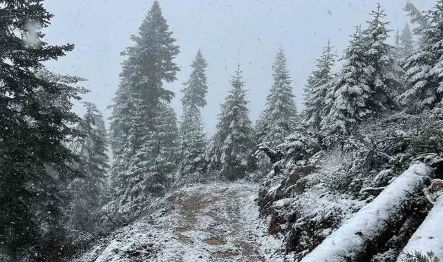 Kastamonu'nun yüksek kesimlerinde kar yağışı etkili olmaya başladı