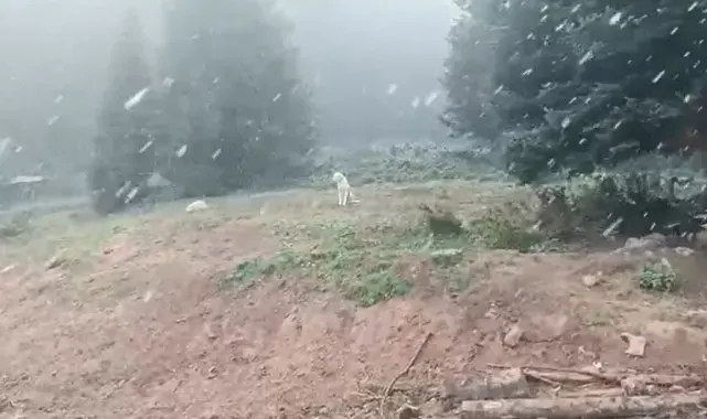 Ilgaz Dağı'nda kar yağışı başladı