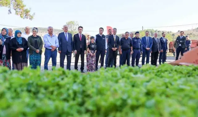 Bilecik'te 1 milyon 126 adet marul fidesi dağıtıldı