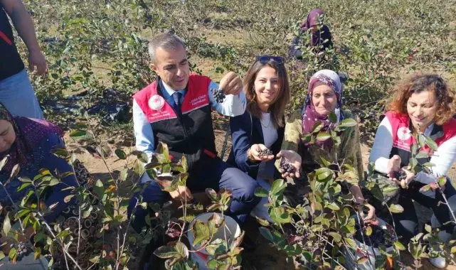 Erdek Kaymakamı Atasoy'dan Dünya Kadın Çiftçiler Günü Ziyareti
