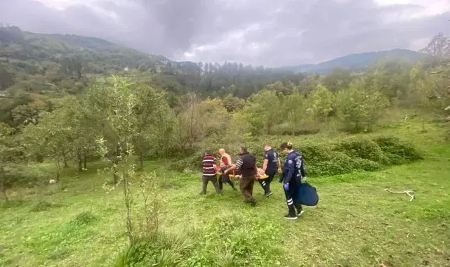 Ağaçtan düşen vatandaş 3 saat süren çaba ile hastaneye ulaştırılabildi