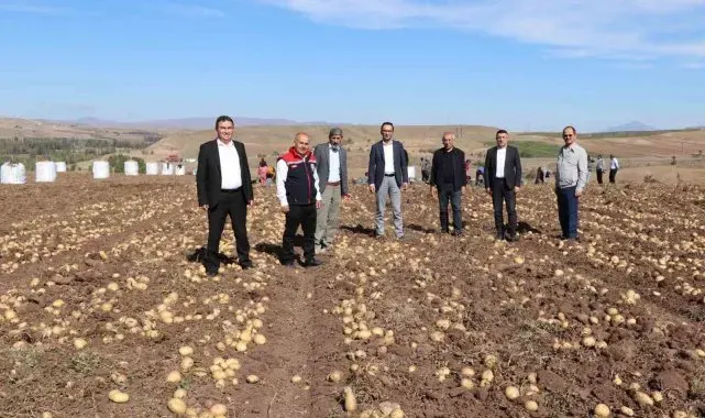 Türkiye'nin en lezzetli patatesleri bu topraklarda yetişiyor