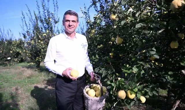 Eşme Ayva Festivali 20 Ekim'de düzenlenecek