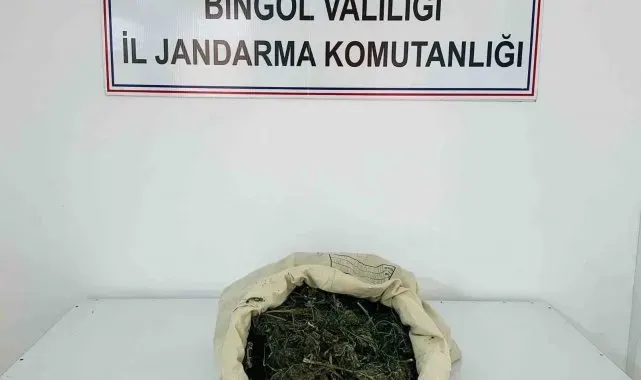 Bingöl'de 1 kilo 975 gram esrar ele geçirildi