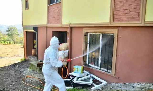 Vatandaşlar kokarcayla mücadele başlattı, 550 ev ilaçlandı