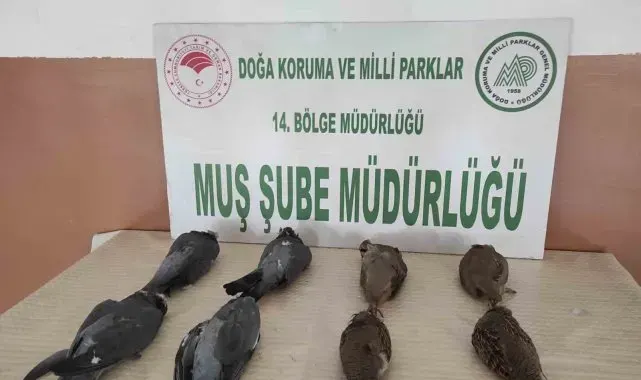Muş'ta keklik avlayan 2 kişiye 42 bin 946 TL para cezası