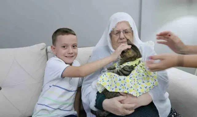Bebek gibi giydirdiği kedisiyle 82 yaşında fenomen oldu