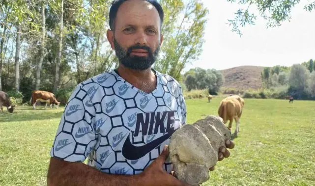 Hayvan otlatırken fosil buldu