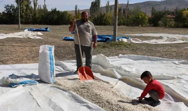 Tüccarın fırsatçılığı çiftçiyi mağdur ediyor