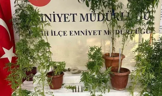Fatih'te uyuşturucu operasyonu: 1 gözaltı