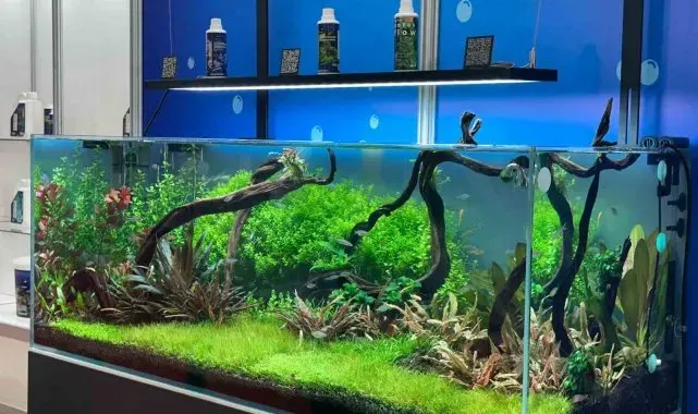 Pet sektörü ithalatını azaltmayı hedefliyor