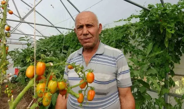 Yavuzkemal Beldesinden örnek tarım projesi