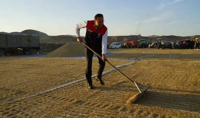 Bakan Yardımcısı Gizligider Çankırı'da çeltik hasadına katıldı