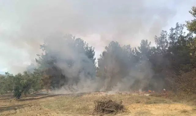 Bursa'da korkutan orman yangını