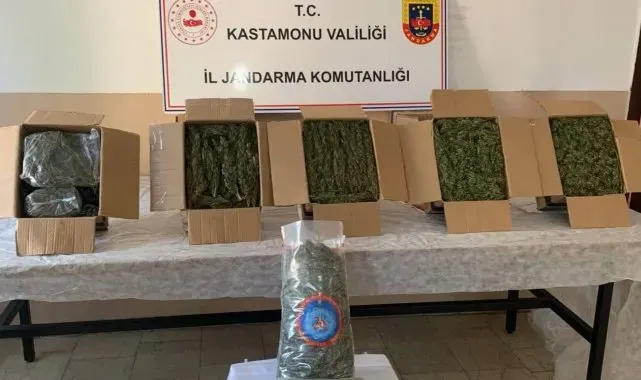 Kastamonu'da esrar ele geçirildi: 1 tutuklama